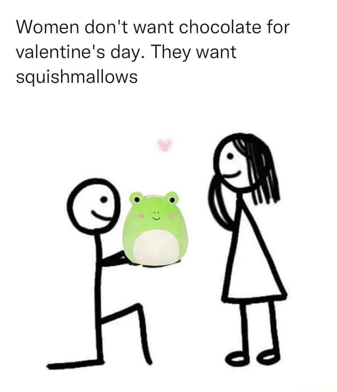 Women dont want chocolate for valentines day They want squishmallows