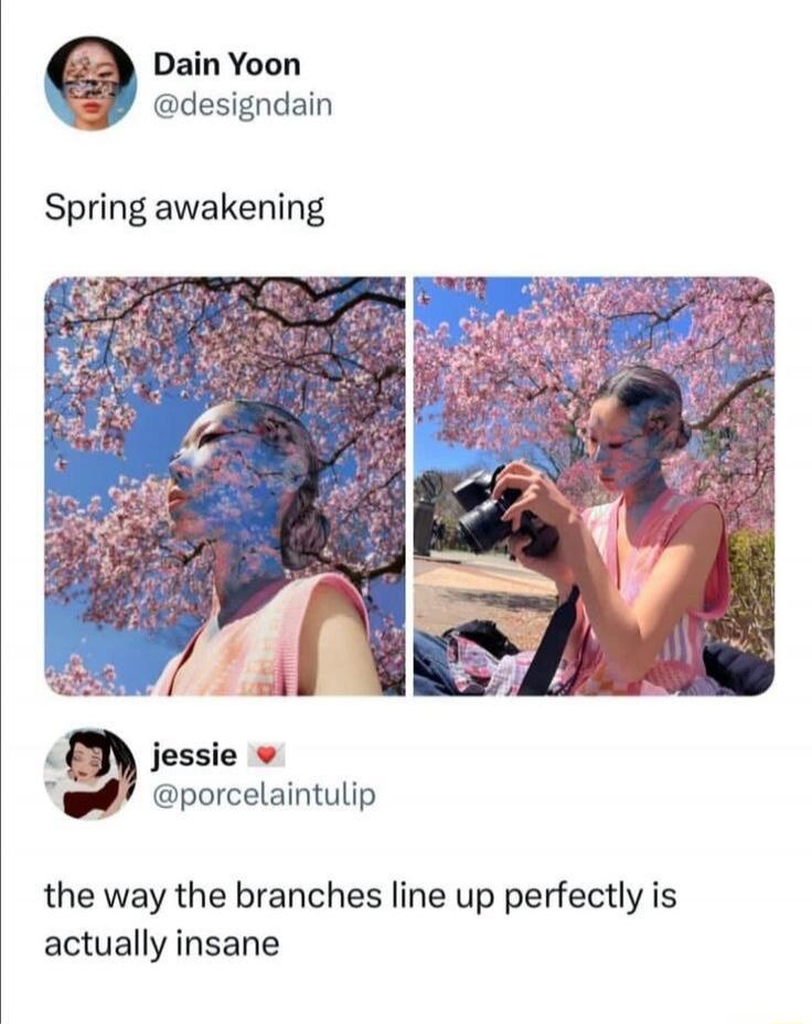 Dain Yoon @designdain Spring awakening. jessie @porcelaintulip the way the branches line up perfectly is actually insane