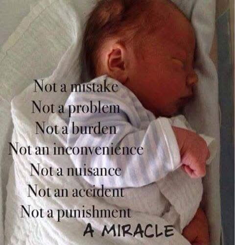 Not a mistake Not a problem Not a burden Not an inconvenience Not a nuisance Not an accident Not a punishment A MIRACLE