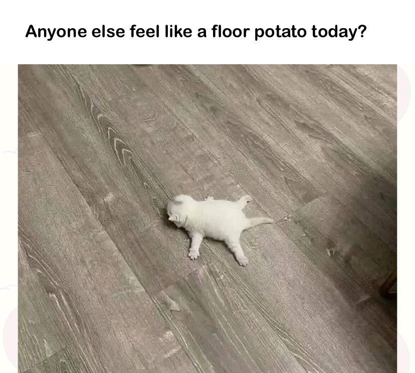 Anyone else feel like a floor potato today