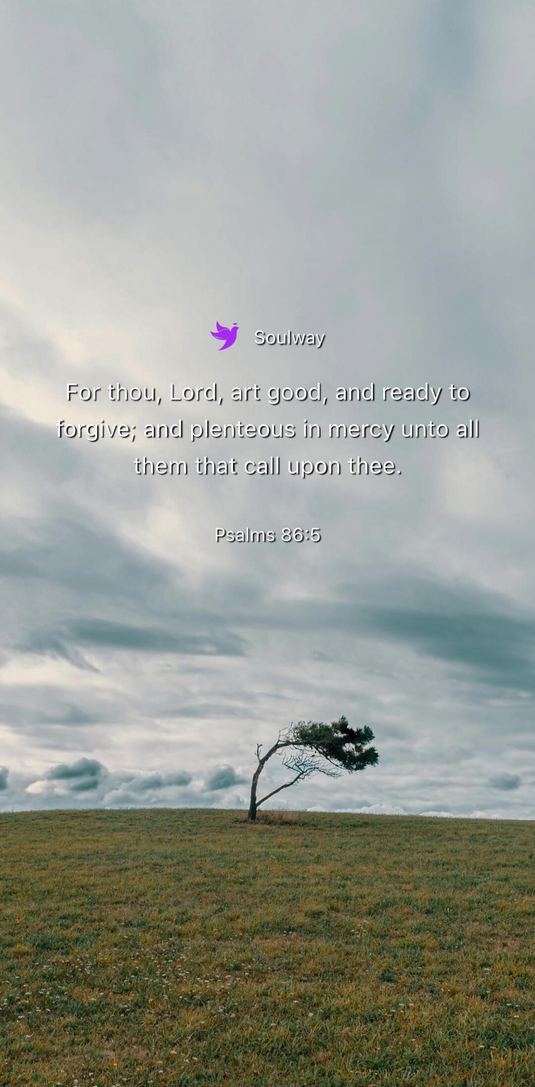 Soulway For thou, Lord, art good, and ready to forgive; and plenteous in mercy unto all them that call upon thee. Psalms 86:5