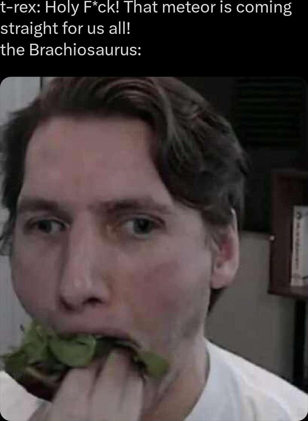 t rex Holy Fck That meteor is coming ST TAVEEI the Brachiosaurus _ y