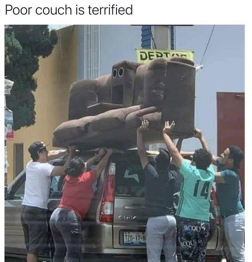 Poor couch is terrified