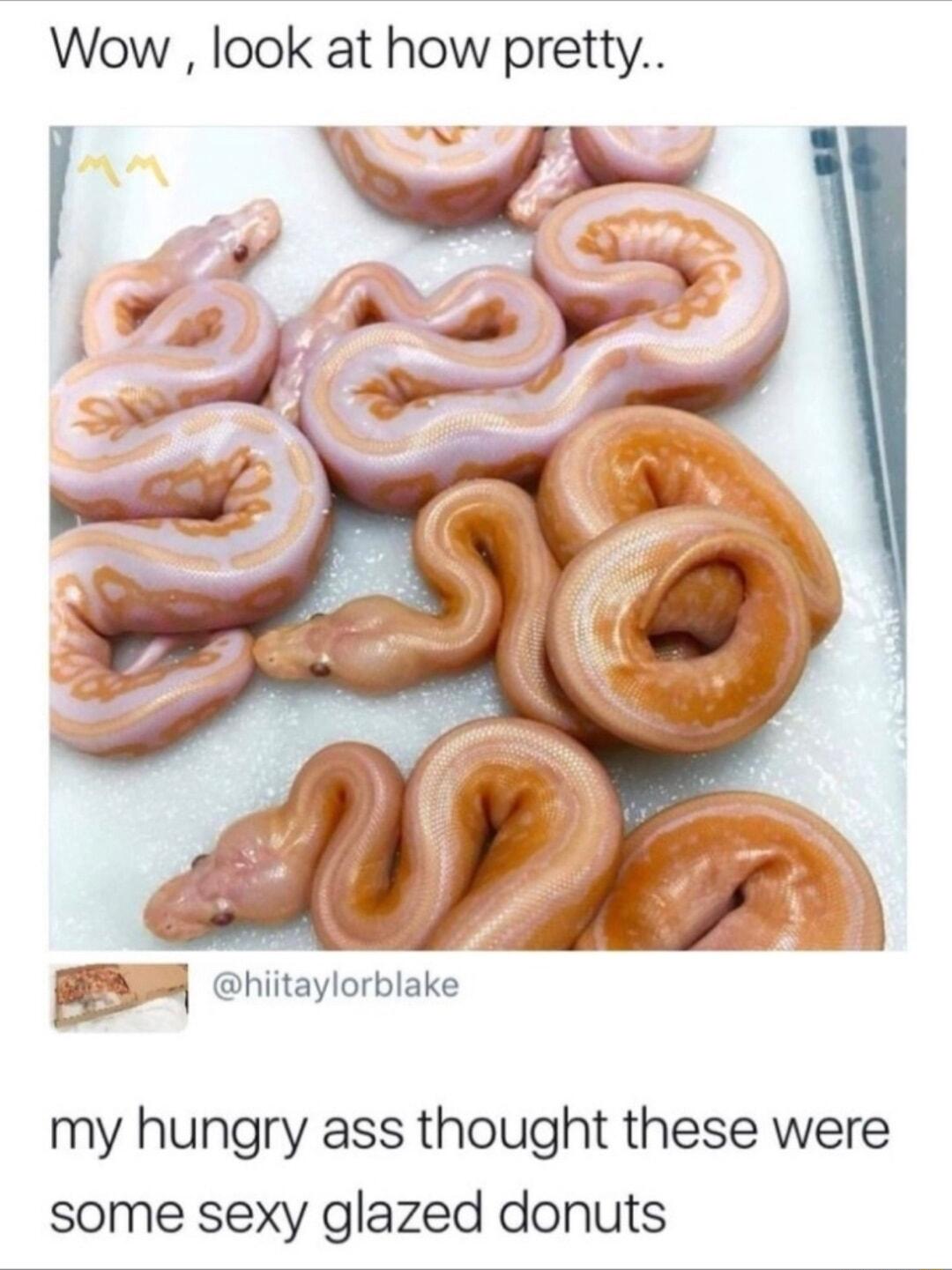 Wow look at how pretty my hungry ass thought these were some sexy glazed donuts