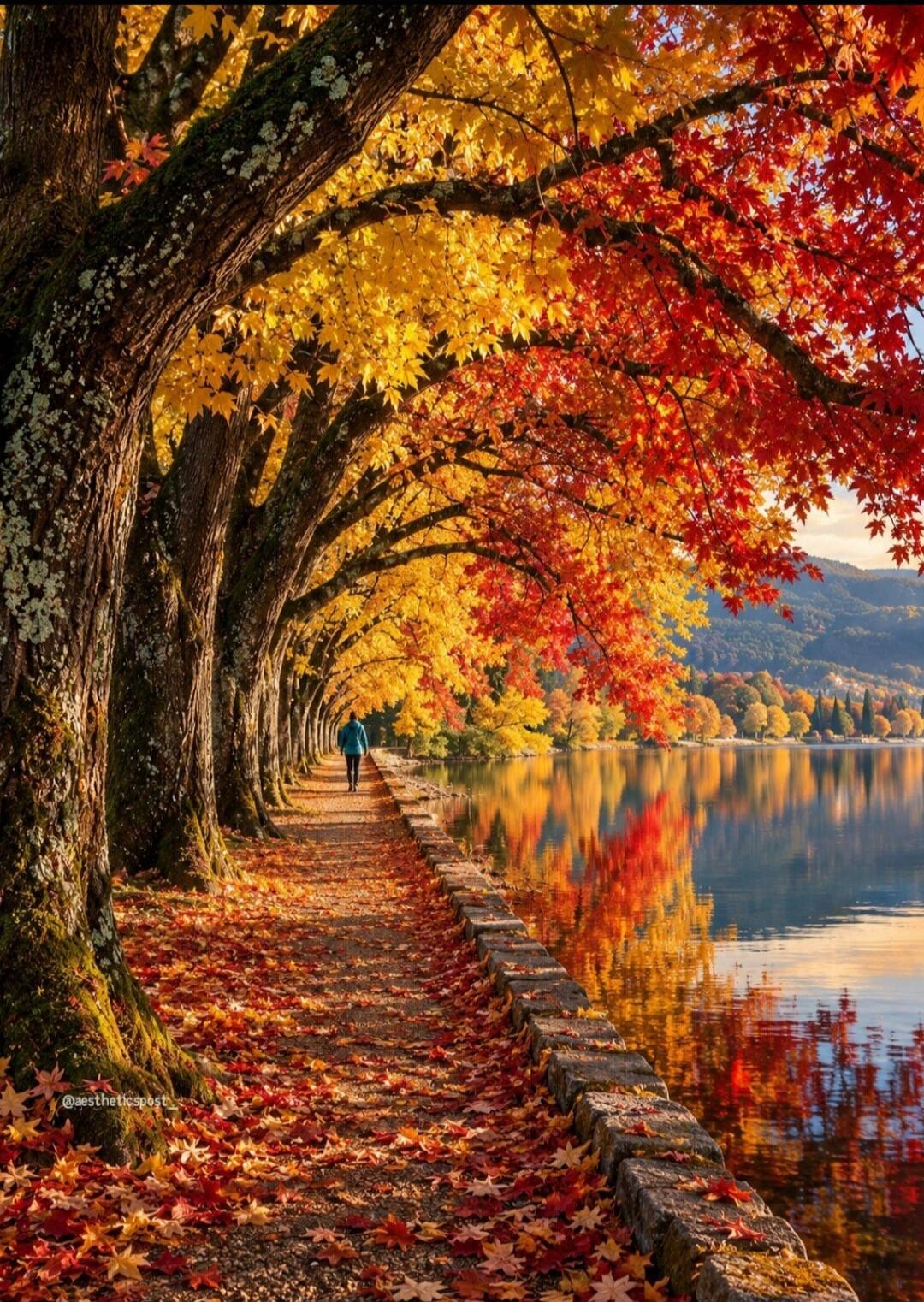 @aestheticspost