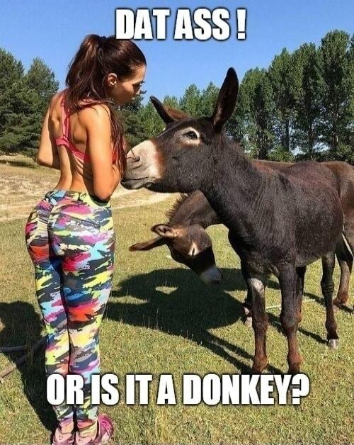 DAT ASS ! OR IS IT A DONKEY?