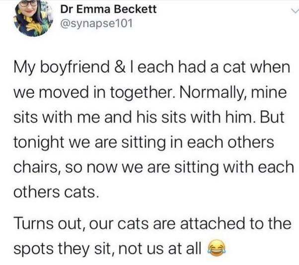 Dr Emma Beckett synapsel101 My boyfriend each had a cat when we moved in together Normally mine sits with me and his sits with him But tonight we are sitting in each others chairs so now we are sitting with each others cats Turns out our cats are attached to the spots they sit not us at all