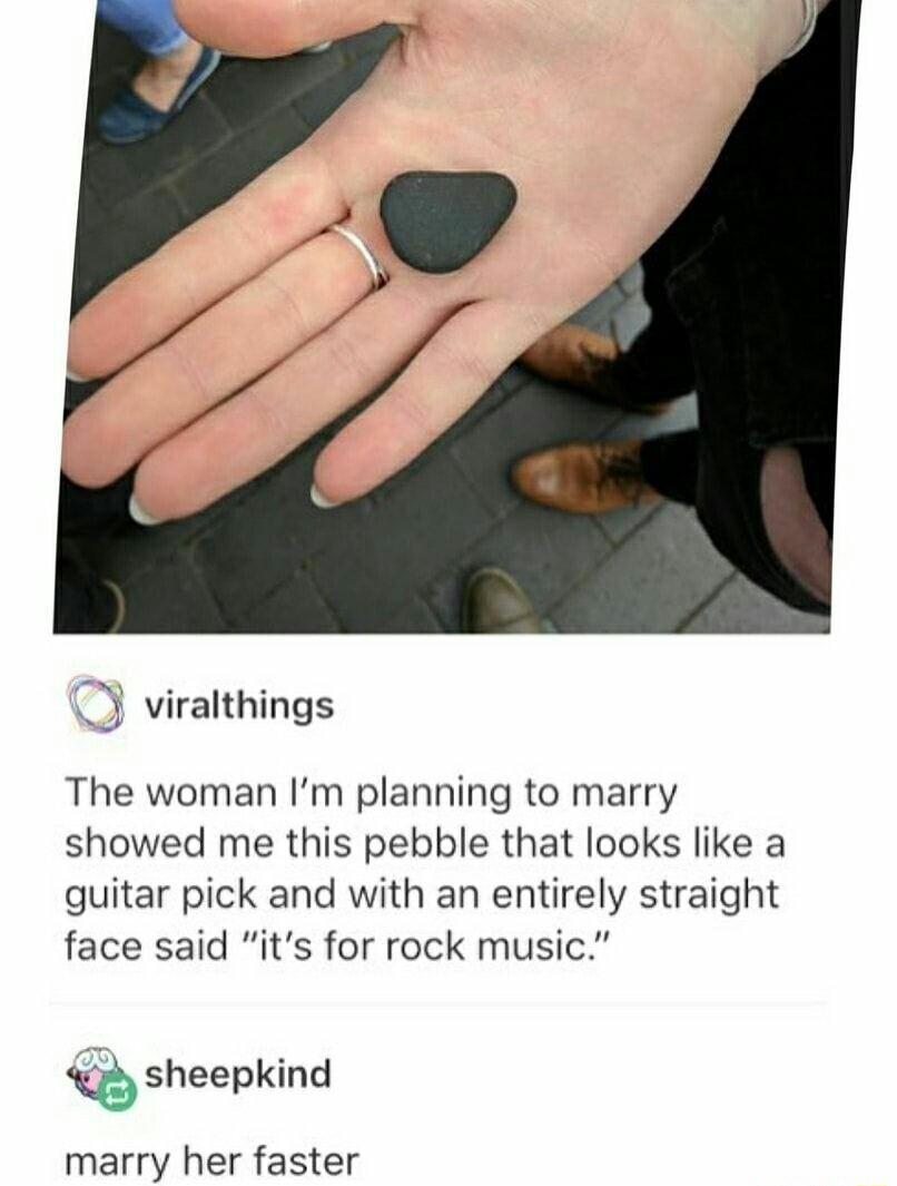 viralthings The woman Im planning to marry showed me this pebble that looks like a guitar pick and with an entirely straight face said its for rock music sheepkind marry her faster