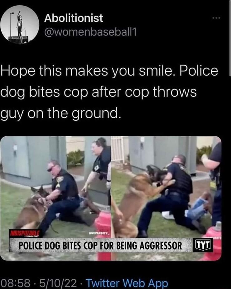 Abolitionist womenbaseball1 Hope this makes you smile Police dog bites cop after cop throws guy on the ground POLI DOG BITES COP FOR BEING AGGRESSOR 0858 51022 Twitter Web App