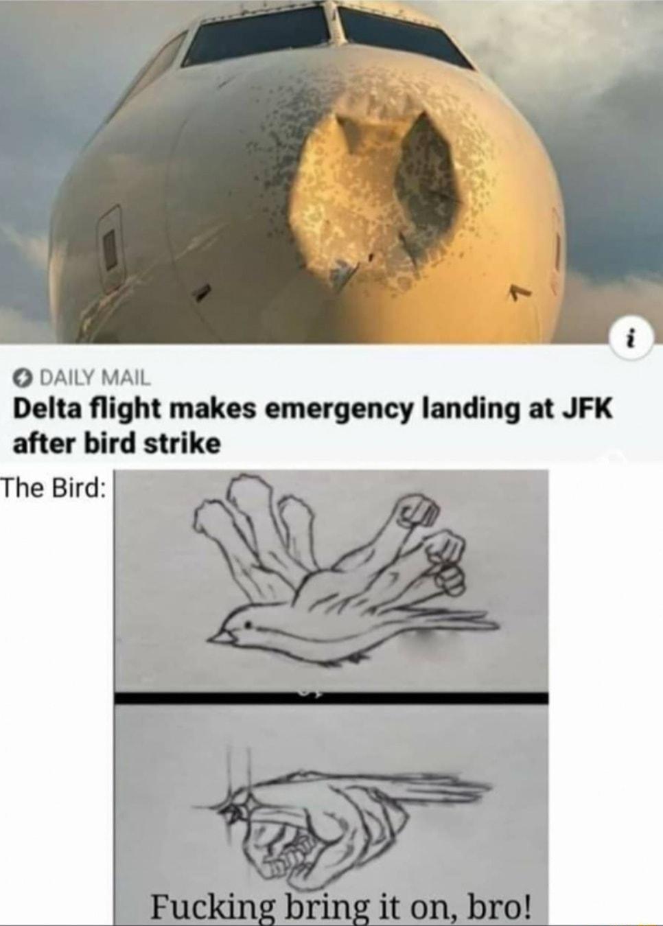 DAILY MAIL Delta flight makes emergency landing at JFK after bird strike