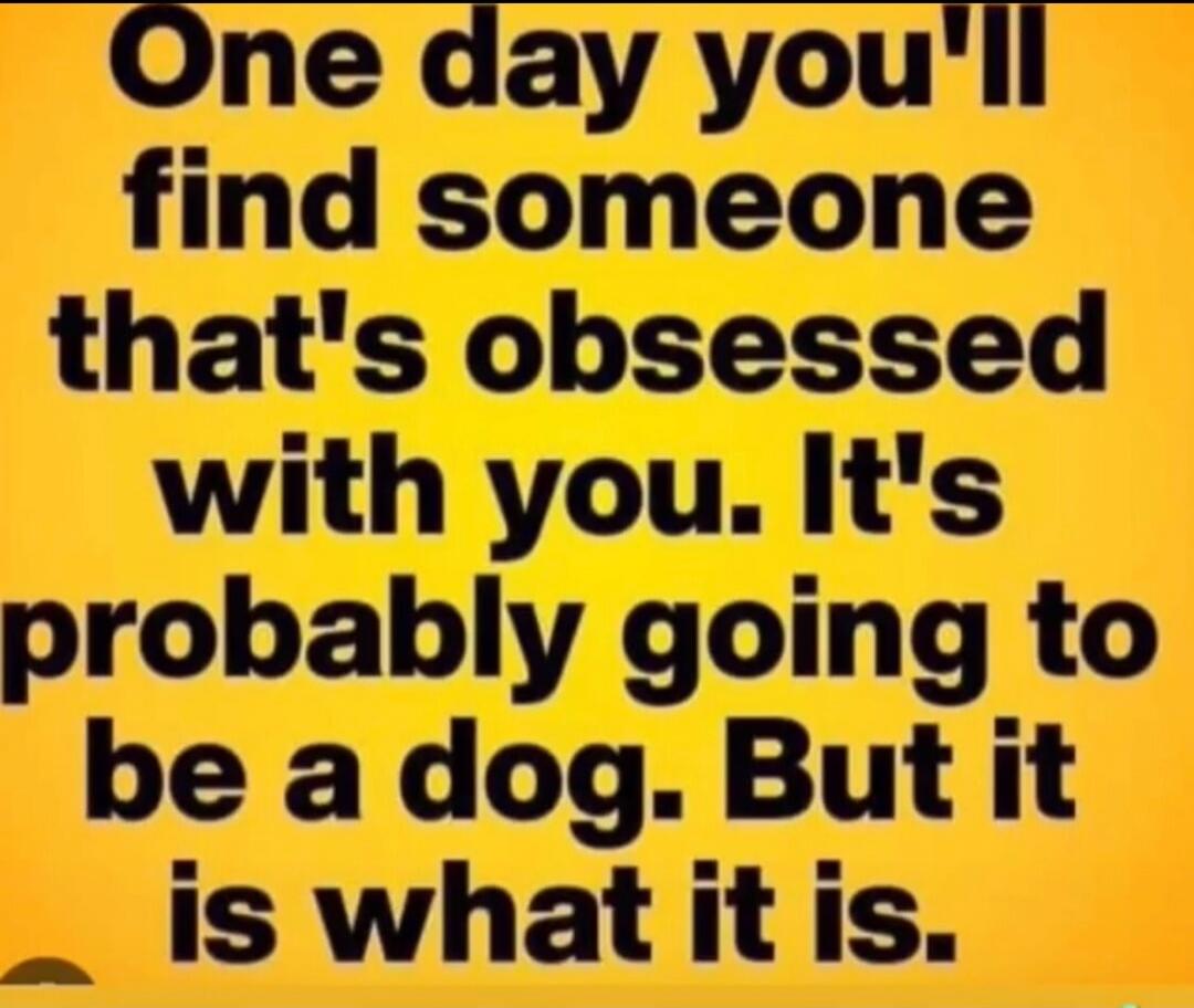 One day you'll find someone that's obsessed with you. It's probably going to be a dog. But it is what it is.