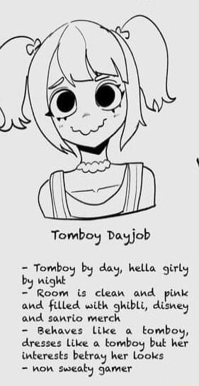 Tomboy Dayjob Tomboy by day hella girly bj night Room is clean and pink and filled with ghibli disney and sanric merch Behaves like a Eombo dresses like a tomboy buk her nterests betray her Looks hoh swealy gamer