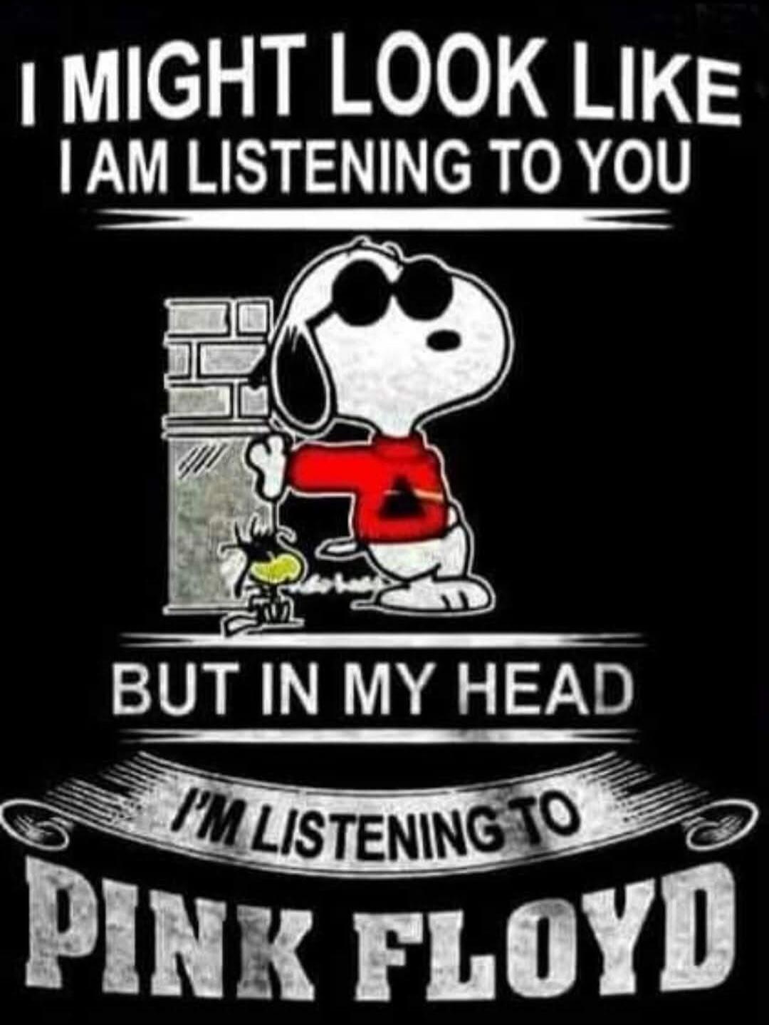 I MIGHT LOOK LIKE I AM LISTENING TO YOU BUT IN MY HEAD I'M LISTENING TO PINK FLOYD
