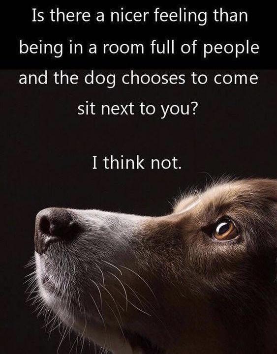 Is there a nicer feeling than being in a room full of people ElleRisT Neeleldslole NI toReley sit next to you I think not