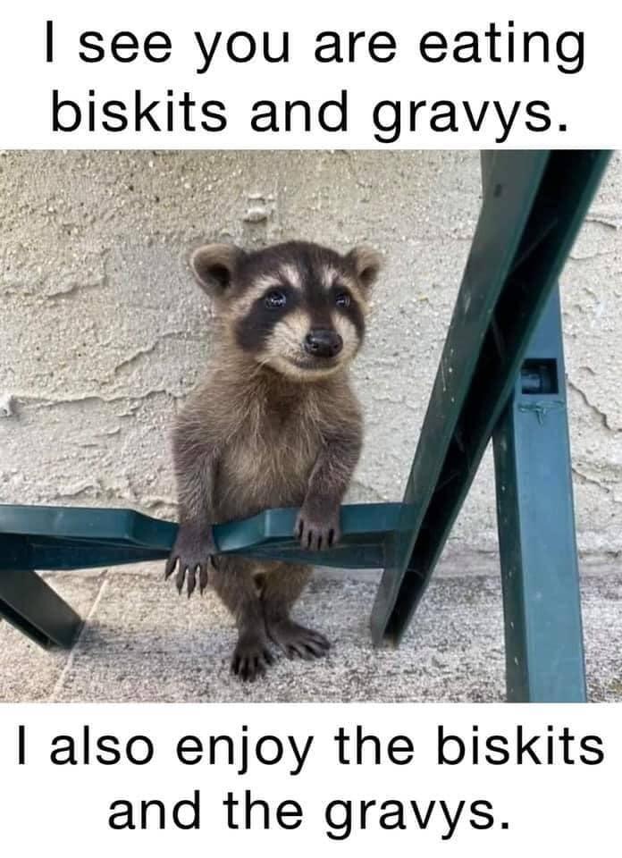 see you are eating _blsklts and gravys also enjoy the biskits and the gravys