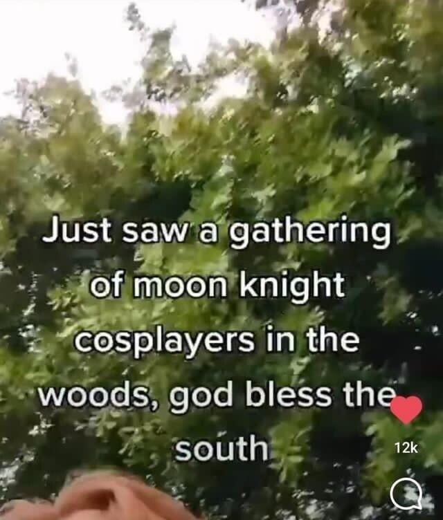 Just saw a eE L lgle Hof moon knlght cosplayers in the woods eee bless the 4 south 2 G 7