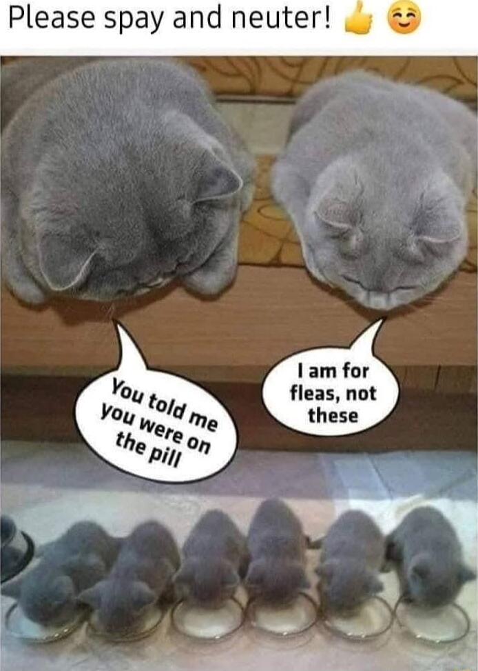 Please spay and neuter