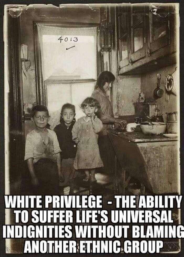 4013 WHITE PRIVILEGE - THE ABILITY TO SUFFER LIFE'S UNIVERSAL INDIGNITIES WITHOUT BLAMING ANOTHER ETHNIC GROUP
