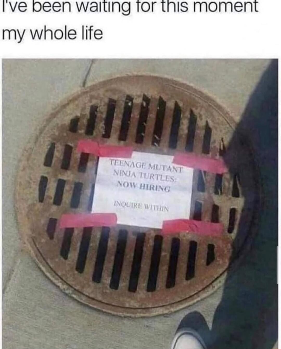 I've been waiting for this moment my whole life
TEENAGE MUTANT NINJA TURTLES:
NOW HIRING
INQUIRE WITHIN