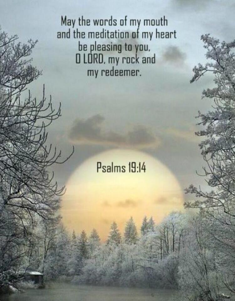 May the words of my mouth
and the meditation of my heart
be pleasing to you,
O LORD, my rock and my redeemer.

Psalms 19:14