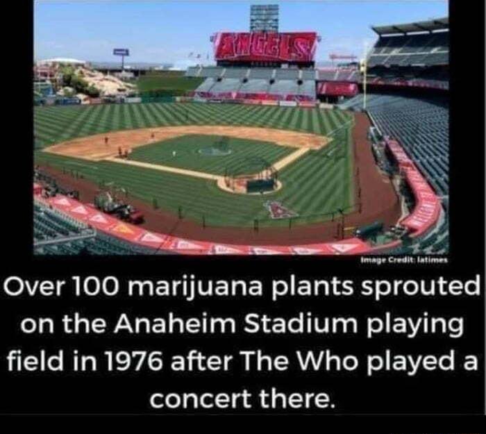 eI o0l s TSI VETR EN I ETg I eI o0 T TaR e WG EL R e V0 s W1 Vi Te field in 1976 after The Who played a concert there