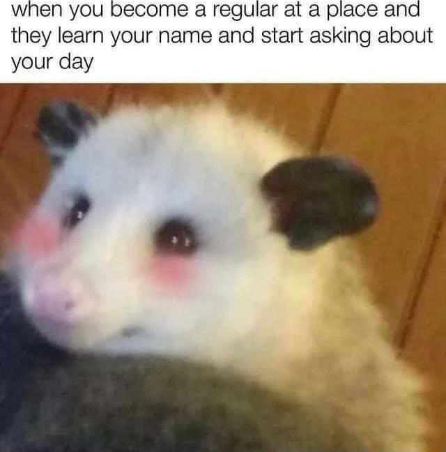 when you become a regular at a place and they learn your name and start asking about your day