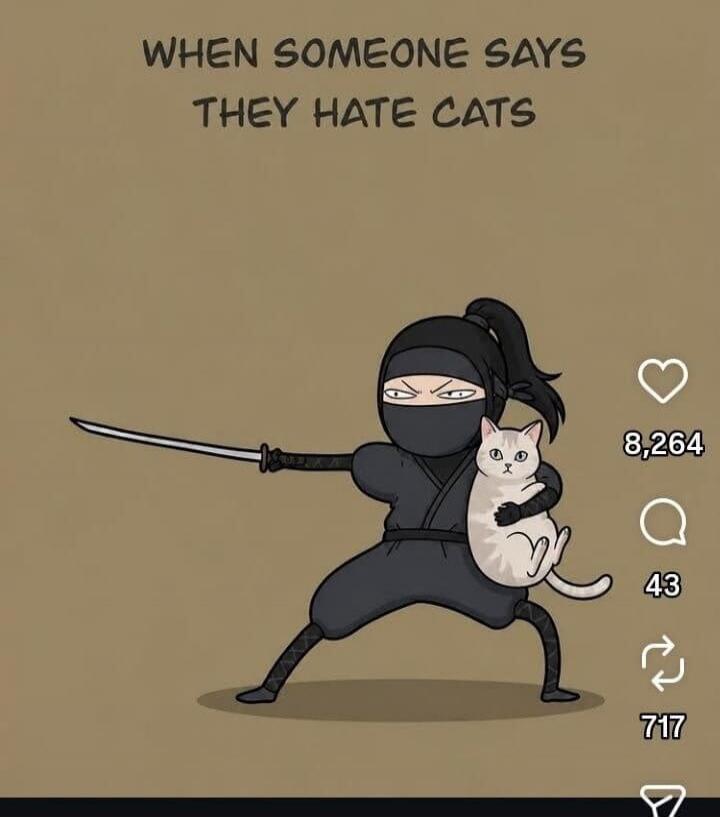 WHEN SOMEONE SAYS THEY HATE CATS