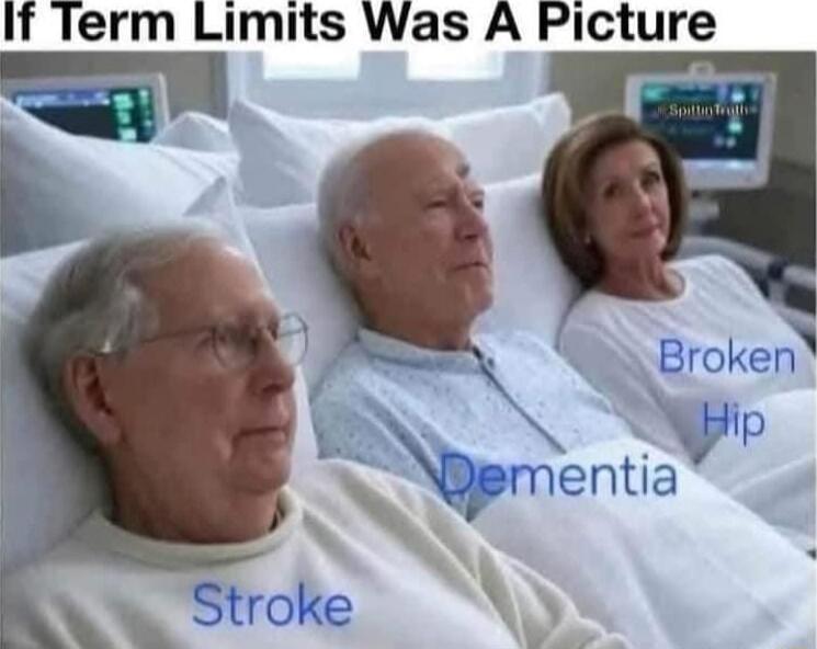 If Term Limits Was A Picture