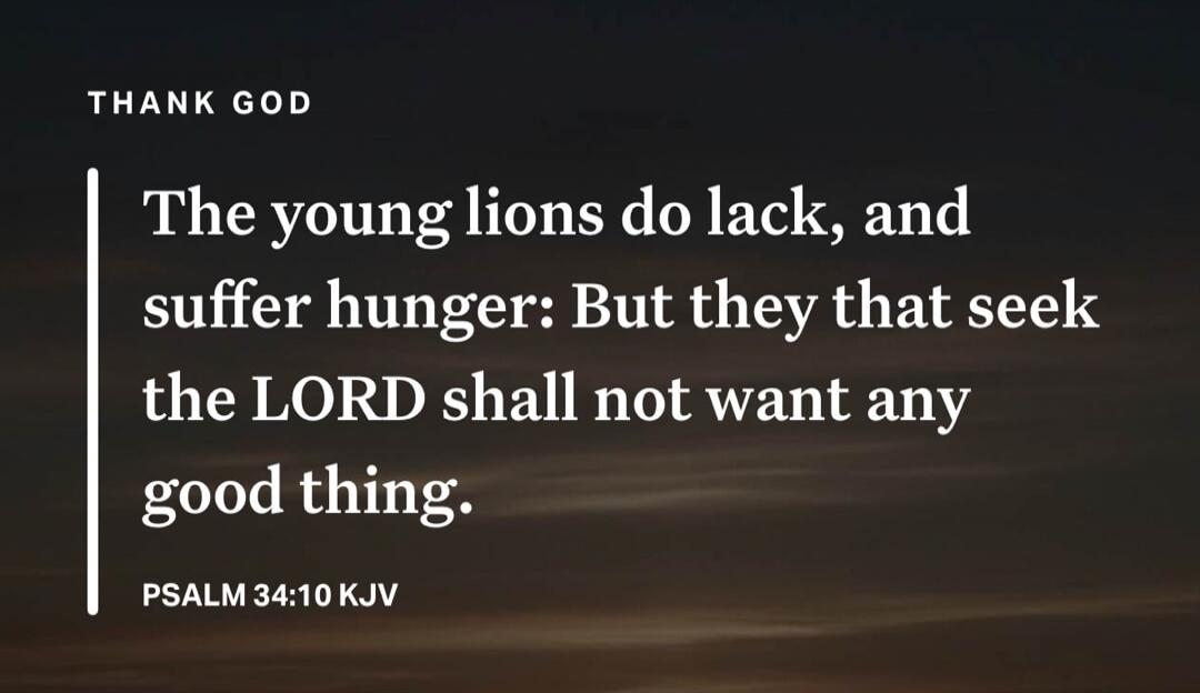 THANK GOD The young lions do lack, and suffer hunger: But they that seek the LORD shall not want any good thing. PSALM 34:10 KJV