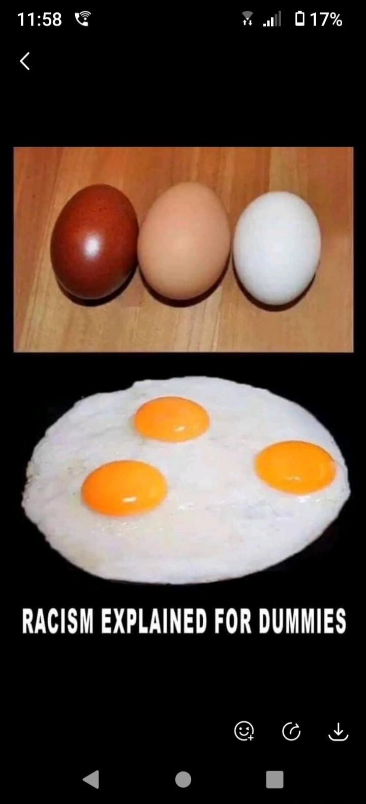 RACISM EXPLAINED FOR DUMMIES. The image shows three eggs with different shell colors (brown, beige, white) on a wooden surface, followed by three fried eggs in a pan, all with white whites and orange yolks.