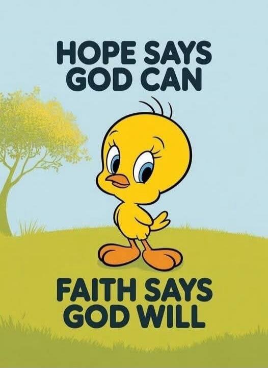 HOPE SAYS GOD CAN FAITH SAYS GOD WILL