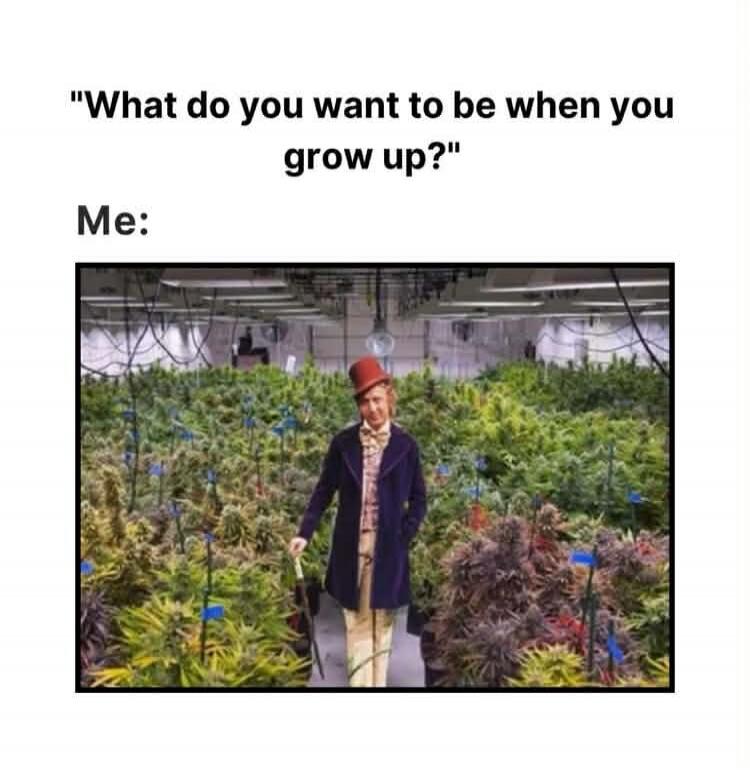 What do you want to be when you grow up? Me: