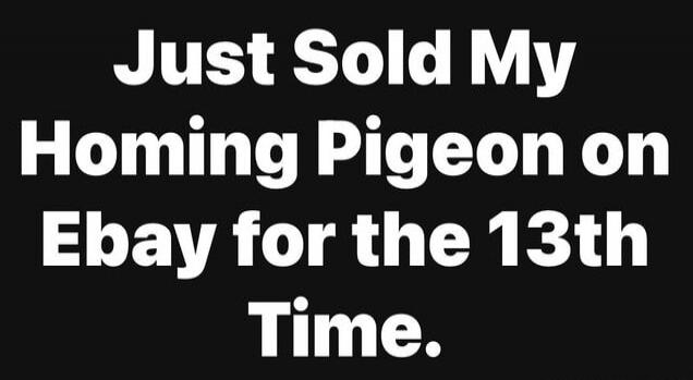 Just Sold My Homing Pigeon on Ebay for the 13th Time.