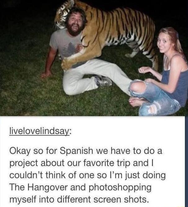 livelovelindsay Okay so for Spanish we have to do a project about our favorite trip and couldnt think of one so Im just doing The Hangover and photoshopping myself into different screen shots