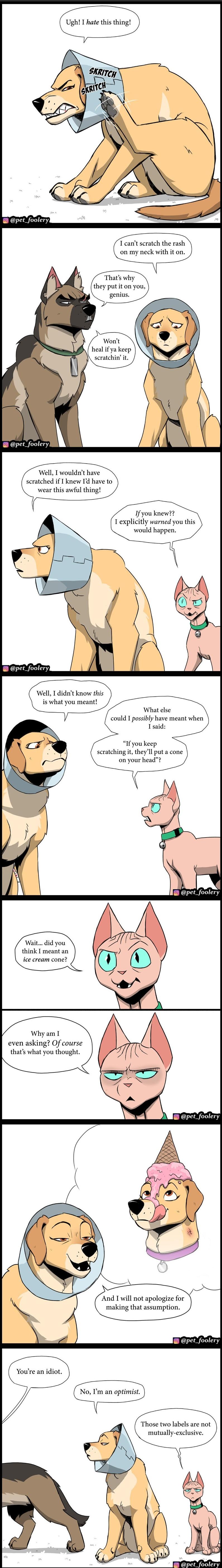 Ugh I hate this thing pet foolery 1 cant scratch the rash on my neck with it on Thats why they putit on you genius heal if ya keep scratchin it Well I wouldnt have scratched if I knew Id have to wear this awful thing Ifyou knew Texplicitly warned you this would happen pet_foolery Well I didnt know this is what you meant could I possibly have meant when Tsaid If you keep scratching it they Il put a