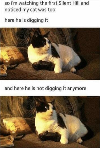 so im watching the first Silent Hill and noticed my cat was too here he is digging it