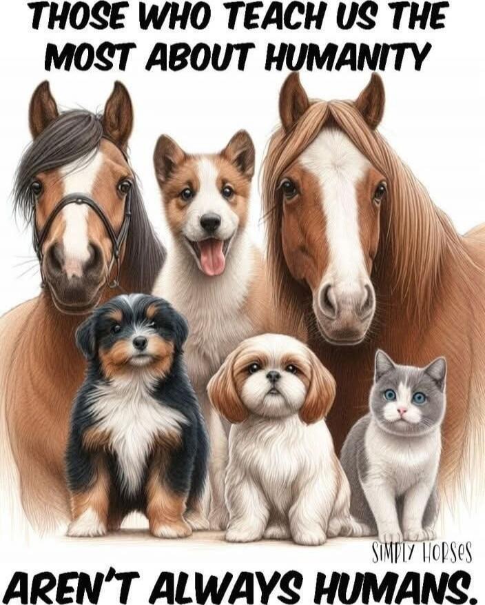 THOSE WHO TEACH US THE MOST ABOUT HUMANITY AREN'T ALWAYS HUMANS.