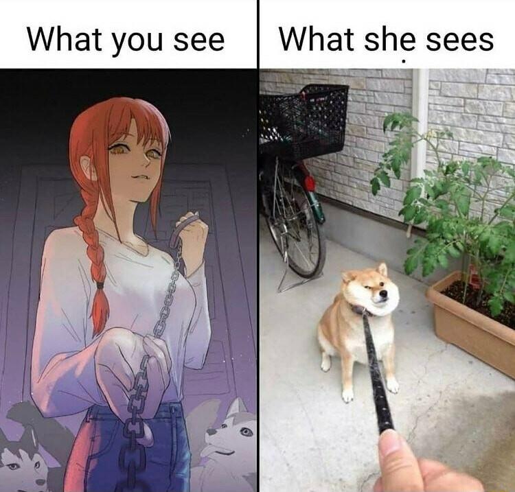 What you see What she sees