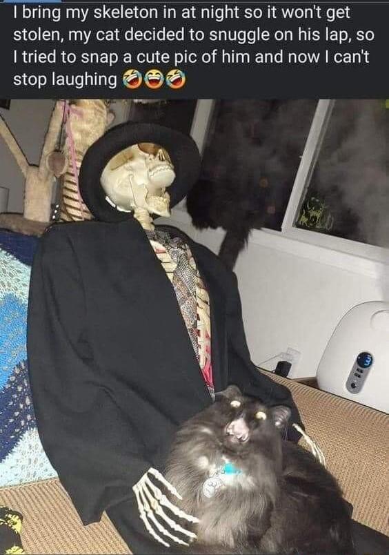 bring my skeleton in at night so it wont get stolen my cat decided to snuggle on his lap so I tried to snap a cute pic of him and now cant stop laughing