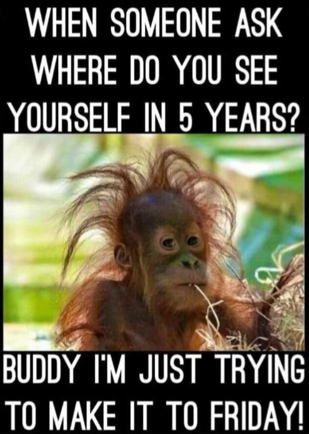 WHEN SOMEONE ASK WHERE DO YOU SEE YOURSELF IN 5 YEARS? BUDDY I'M JUST TRYING TO MAKE IT TO FRIDAY!