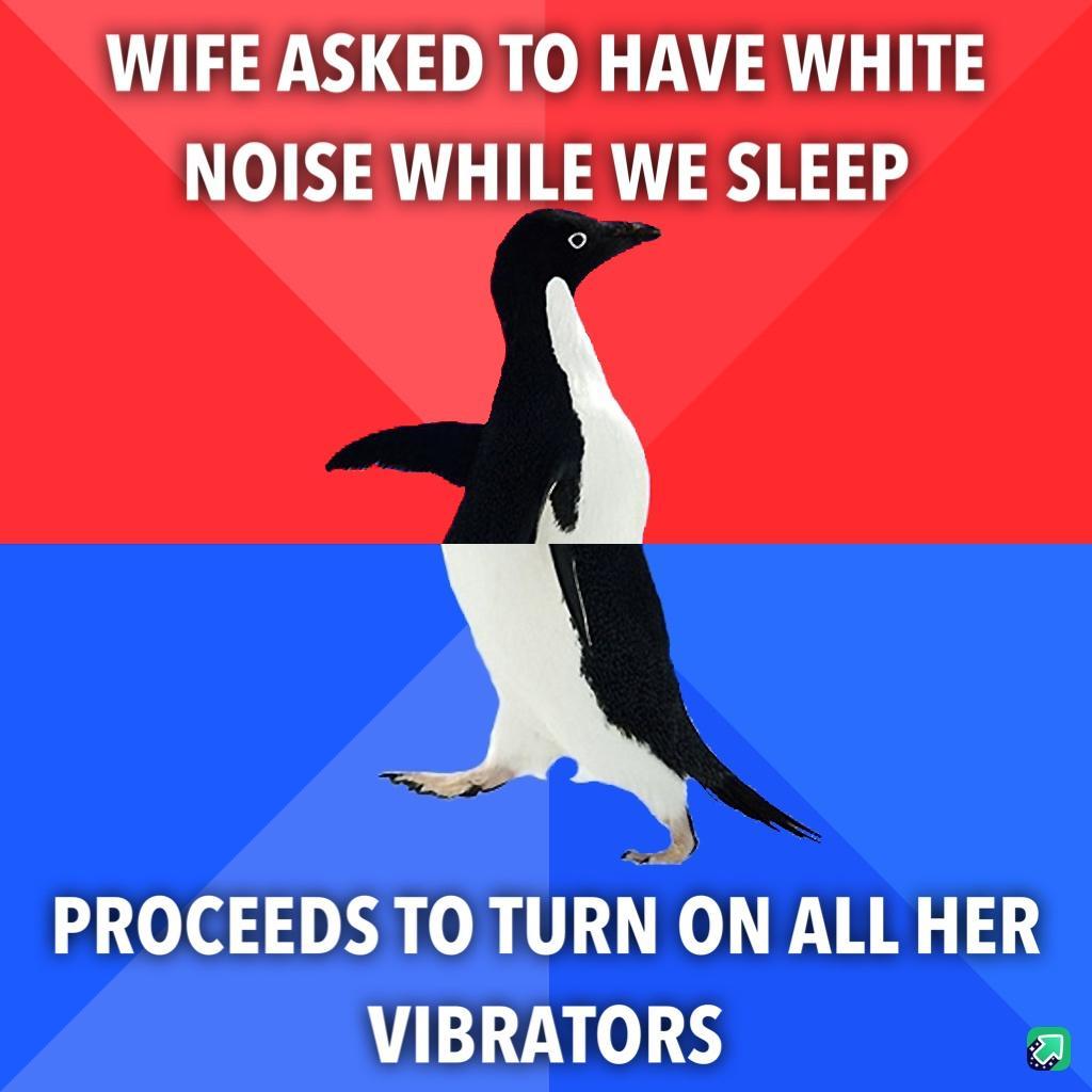 WIFE ASKED TO HAVE WHITE NOISE WHILE WE SLEEP PROCEEDS TO TURN ON ALL HER VIBRATORS