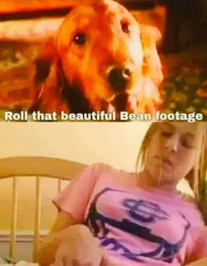 Roll that beautiful Bean footage