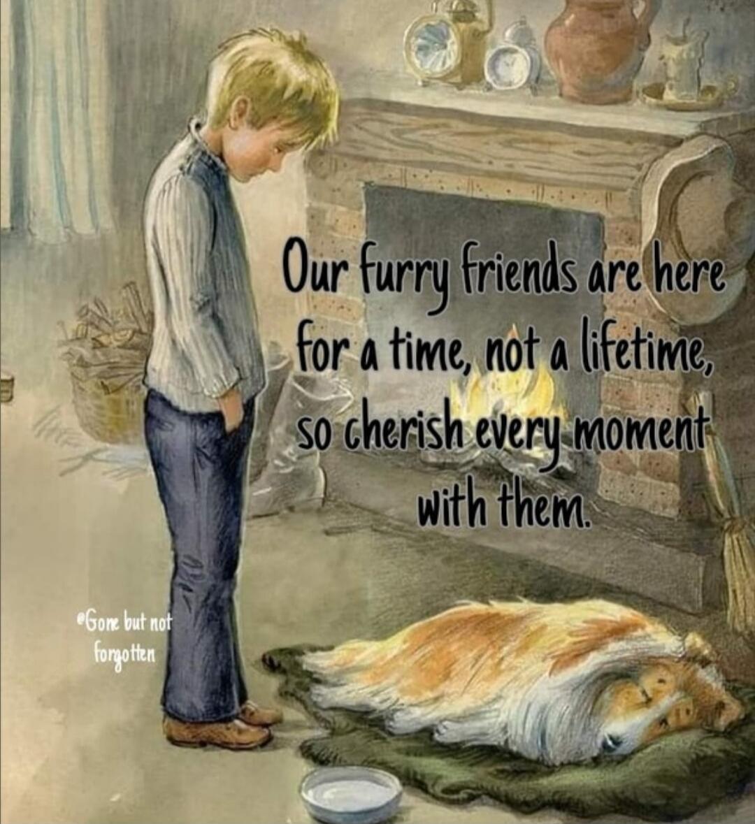 Our furry friends are here for a time, not a lifetime, so cherish every moment with them. Gone but not forgotten