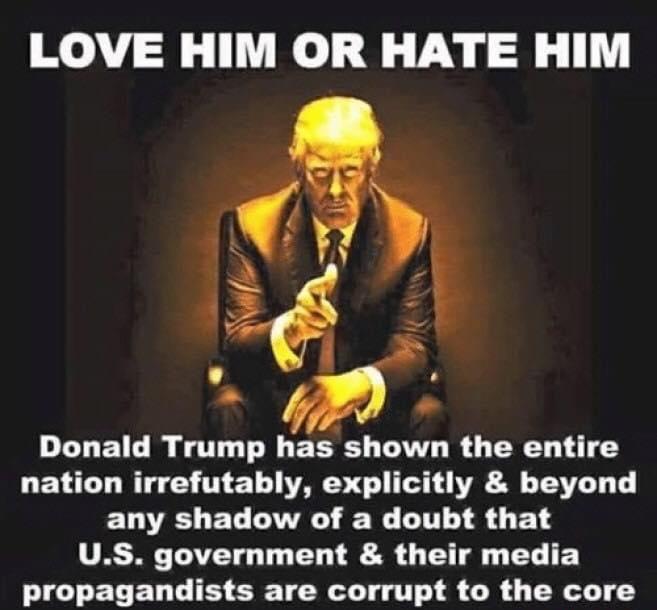 LOVE HIM OR HATE HIM Donald Trump has shown the entire DEVC BT G T E 1 VA T T TAT T ELVCLET TR WL CIT A R E 1 US government their media ELELD S SR TR T S CR R