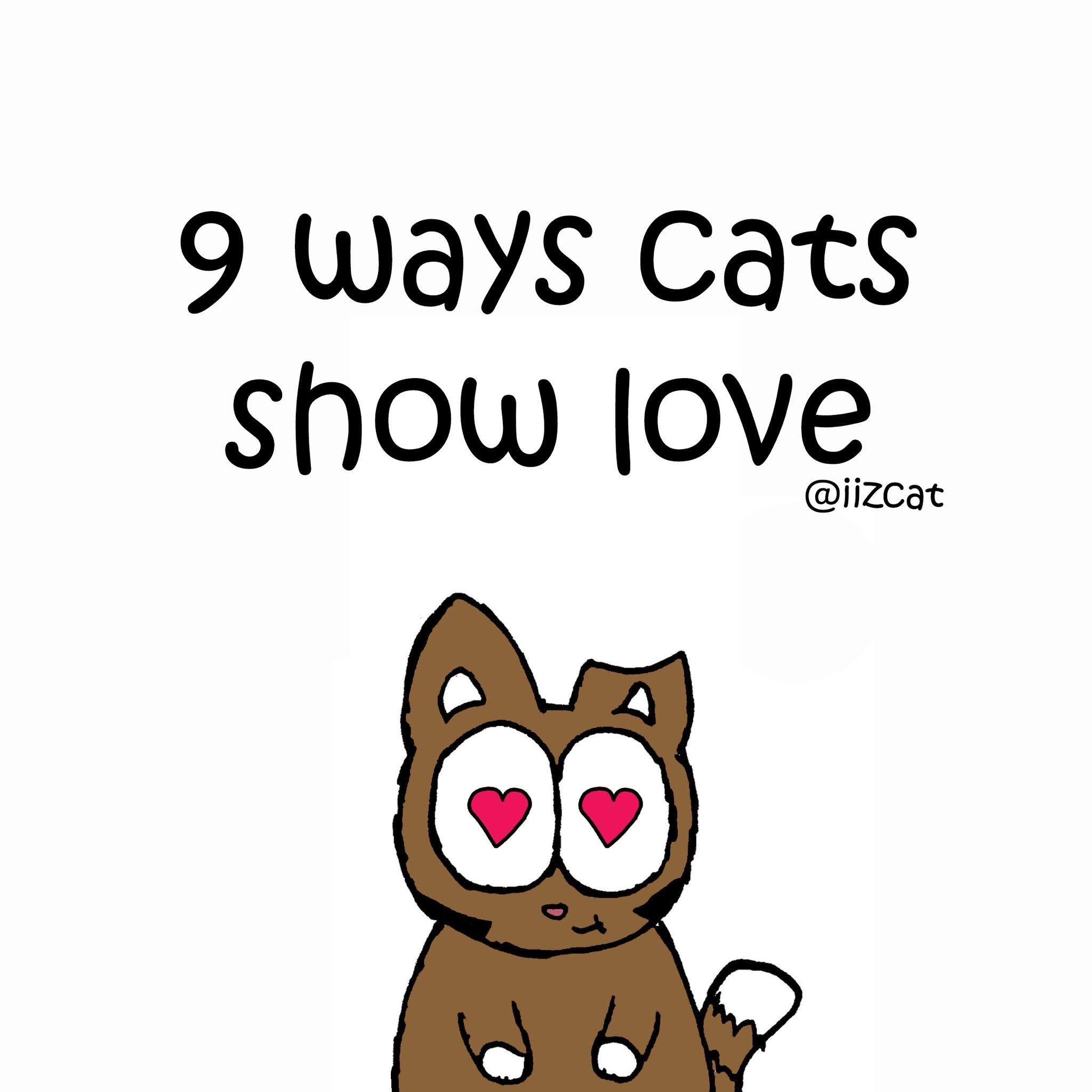 9 WaYys Cats show ove iizcat