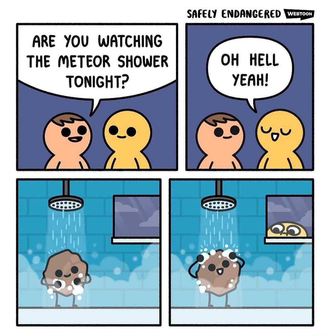 SAFELY ENDANGERED IR ARE YOU WATCHING THE METEOR SHOWER TONIGHT