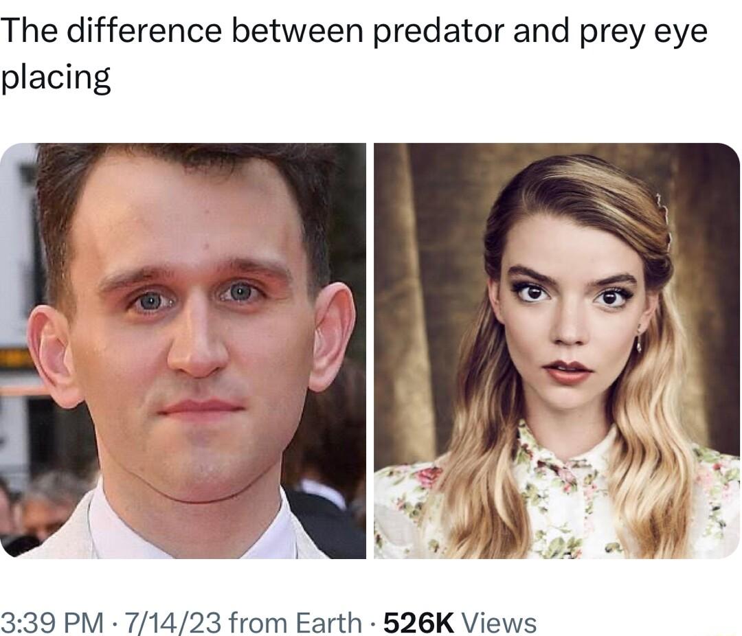 The difference between predator and prey eye placing 339 PM 71423 from Earth 526K Views