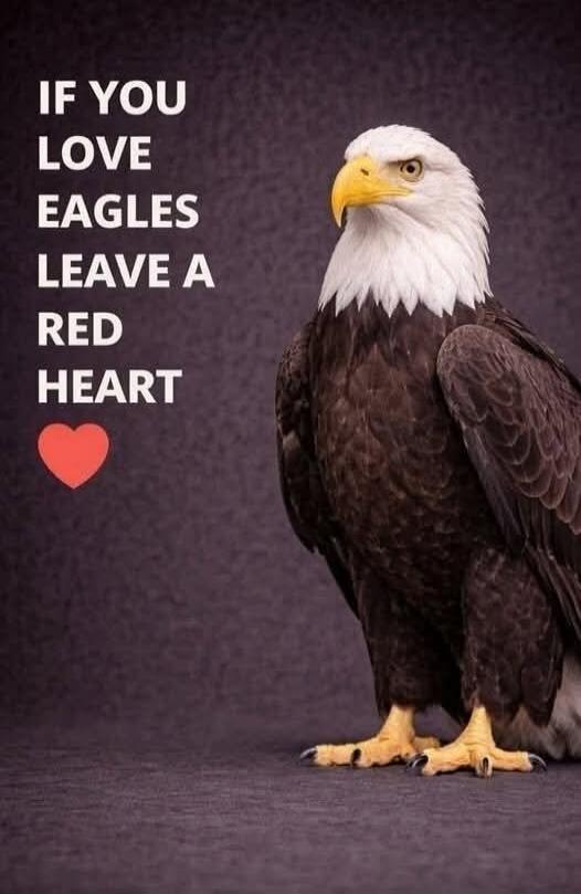 IF YOU LOVE EAGLES LEAVE A RED HEART