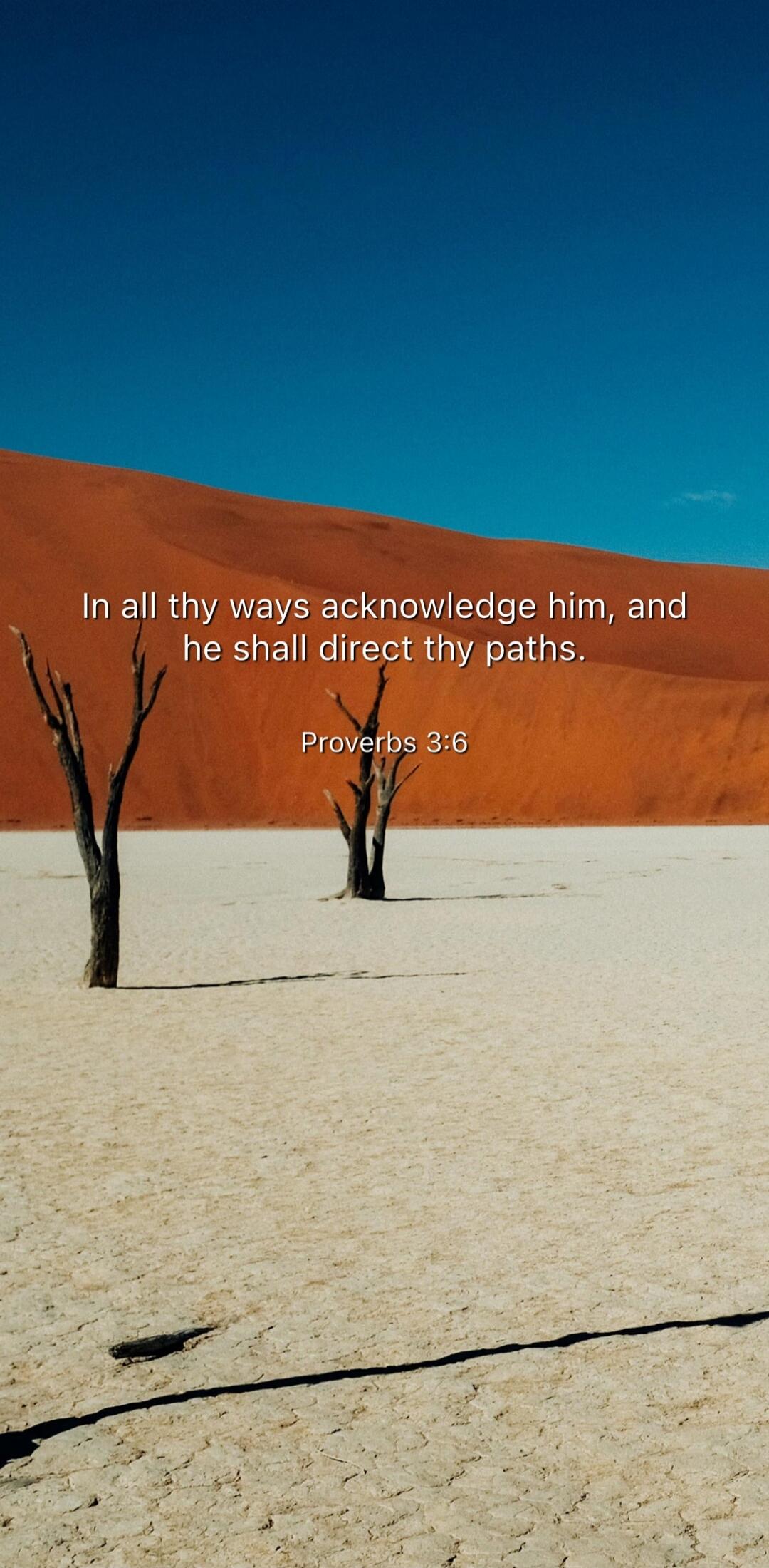 In all thy ways acknowledge him, and he shall direct thy paths.
Proverbs 3:6