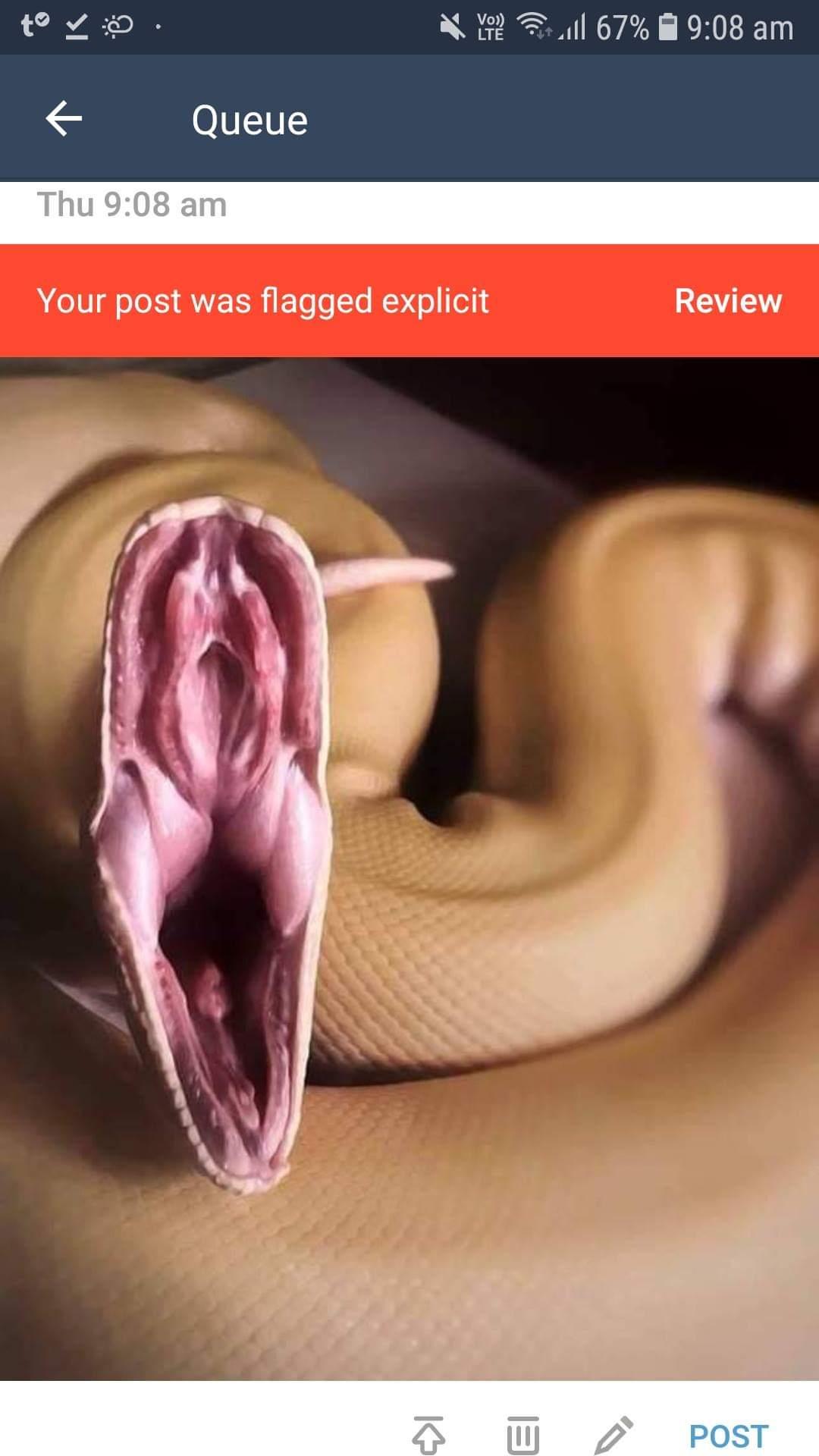 tov o N R l 67 908 am